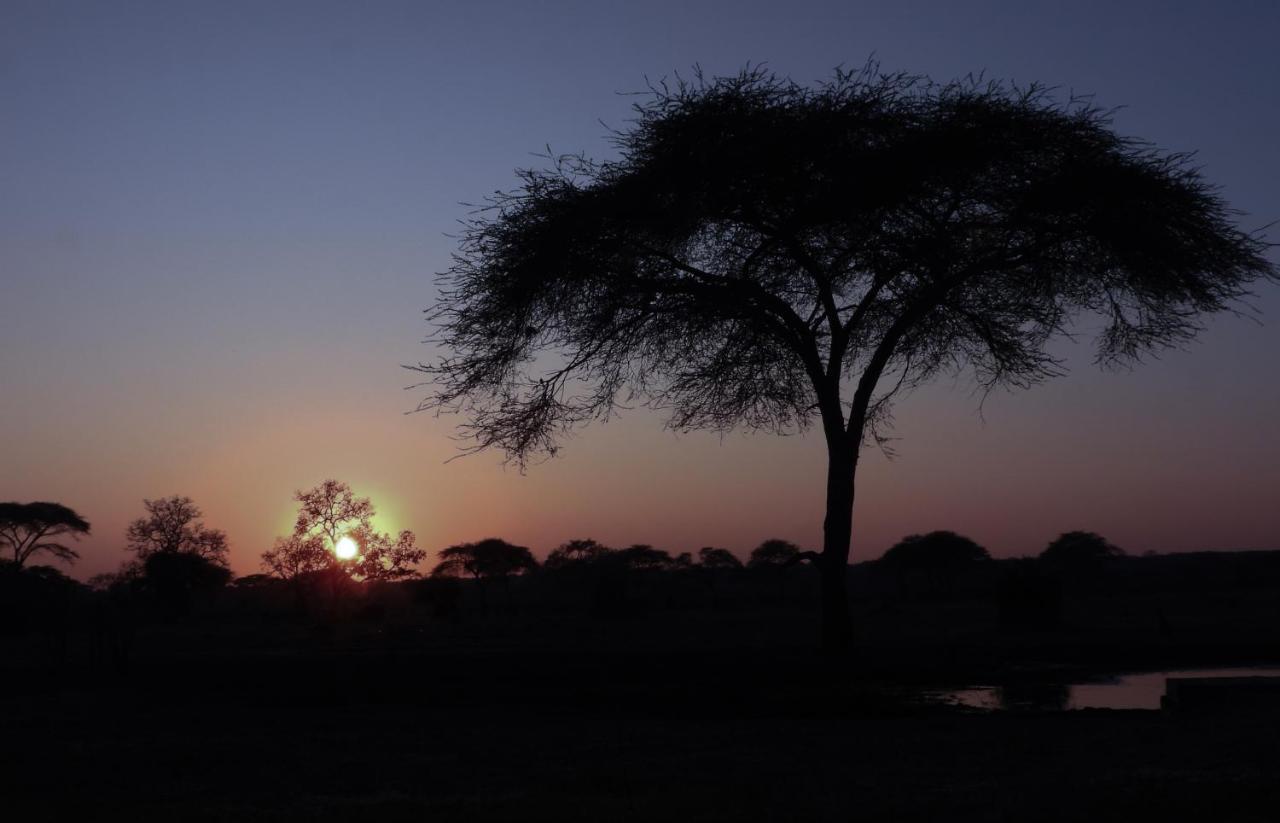 Victoria Falls Holiday Home 外观 照片